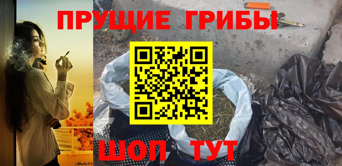 Псилоцибиновые грибы прущие грибы Тайшет