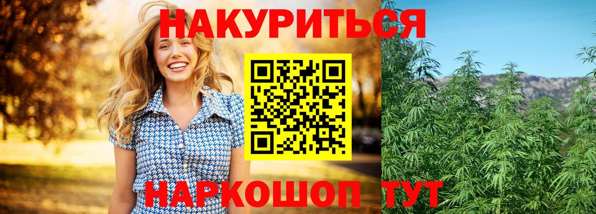 Канабис план  Марихуана гибрид  Бошки марихуана White Widow  Тайшет  Вход с VPN 